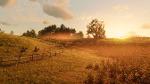 Một vài hình ảnh của Red Dead Redemption 2