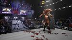 Một vài hình ảnh của AEW: Fight Forever