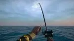 Một vài hình ảnh của Ultimate Fishing Simulator